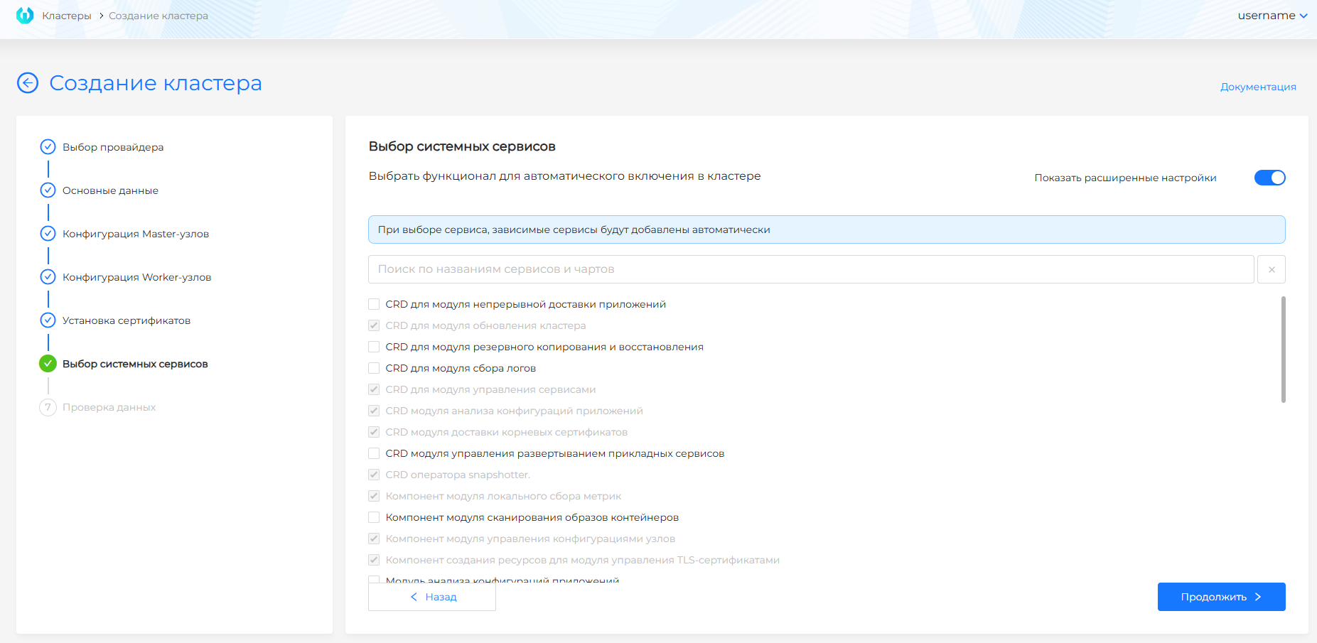 clusterservices1