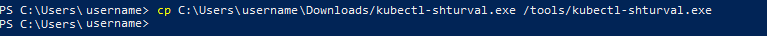 cploginexe