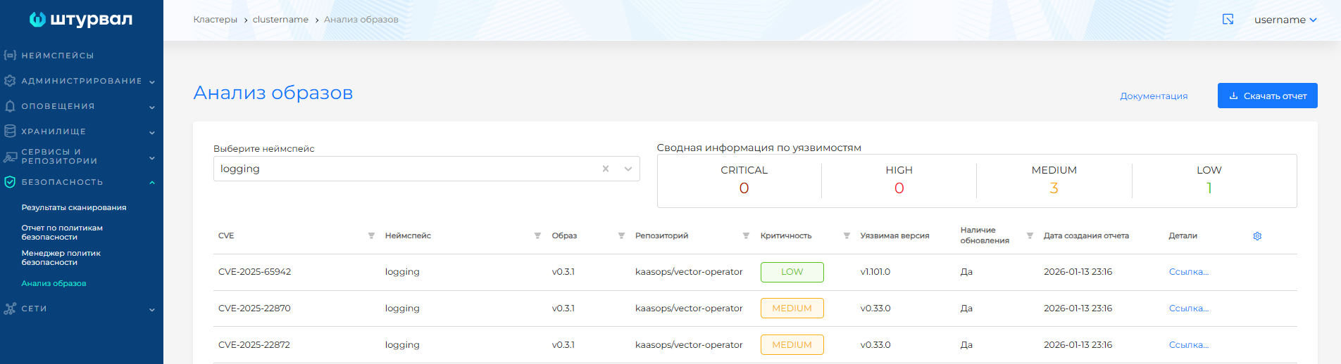 cvereport2