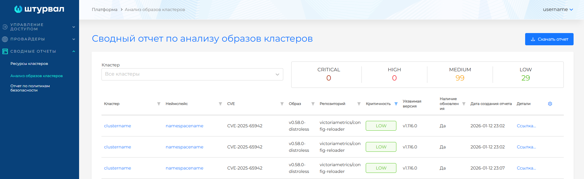 cvereportplatform