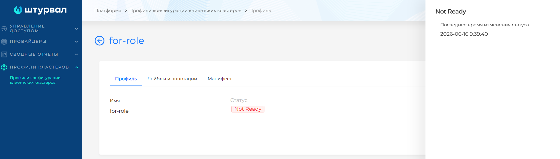 Статус профиля