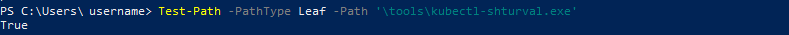 testpathloginexe